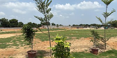 Roots Courtyard 2 - Construction Update - july 2025